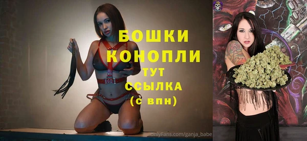 прущие грибы Бугульма