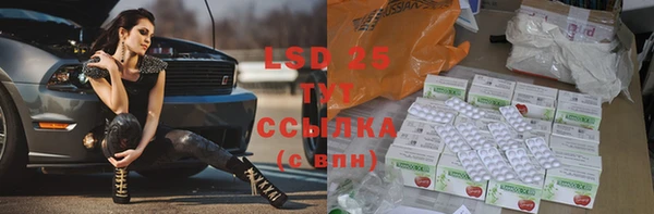 прущие грибы Бугульма