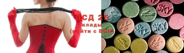 прущие грибы Бугульма