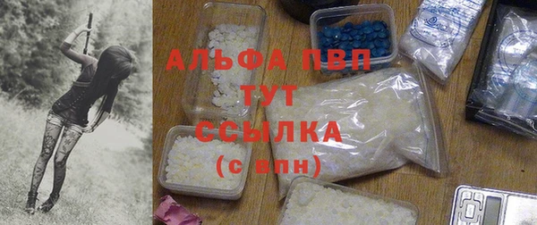 прущие грибы Бугульма