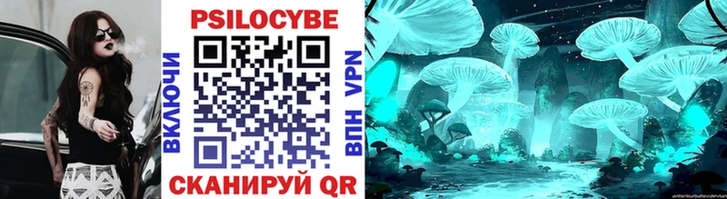 Галлюциногенные грибы Psilocybe где можно купить Южно-Сахалинск